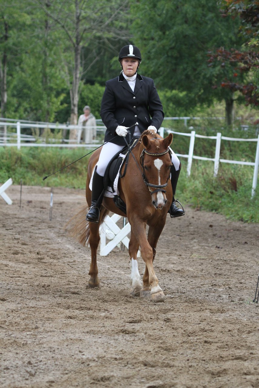 Bild 117 - WBO-Turnier am 18.9.11